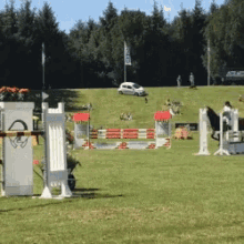 Liz Horse Competition GIF