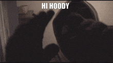 Hoodie Hoody GIF - Hoodie Hoody Mh GIFs