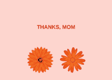 Happy Mothers Day Thanks Mom GIF
