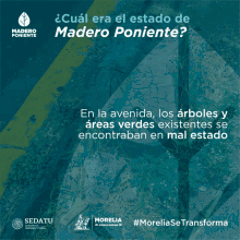 Madero Madero Poniente GIF - Madero Madero Poniente Arbol GIFs