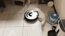 Cat Roomba GIF - Cat Roomba GIFs