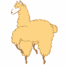 rushing llama