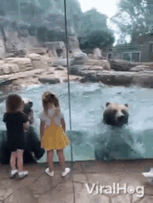 bear viralhog jump excited cute