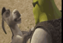 Shrek Donkey GIF - Shrek Donkey Angry GIFs