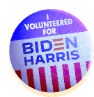 Vote Joe Biden Sticker - Vote Joe Biden Election2020 Stickers