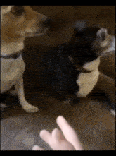 The Hand GIF - The Hand GIFs