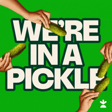 In A Pickle Oops GIF