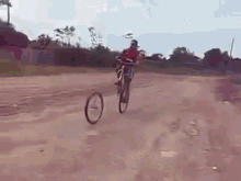 Bike Fail GIF - GIFs