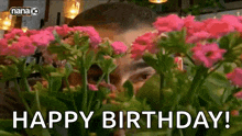 a man is peeking out from behind a bunch of pink flowers and saying happy birthday .