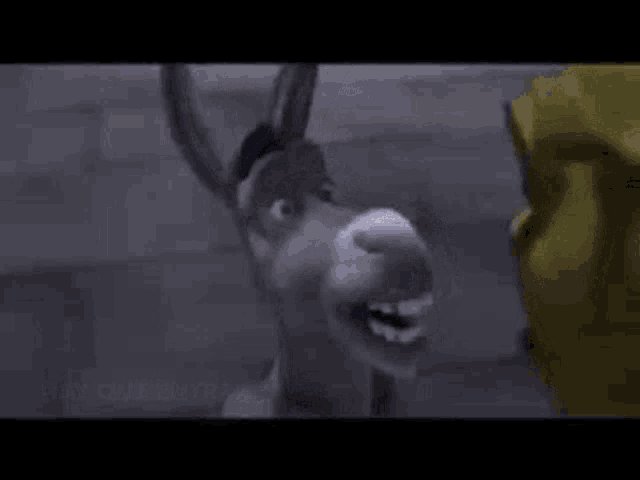 SHREK E BURRO 