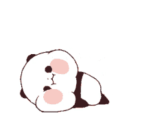 lazy panda cute adorable fat