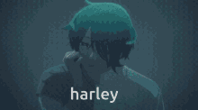 Harley Milgram GIF - Harley Milgram GIFs