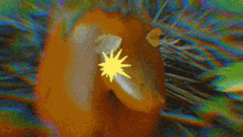 a colorful background with a purple ring and a yellow star