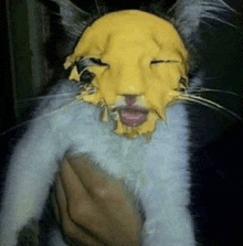 a person is holding a cat with a yellow face painted on it .