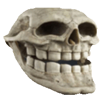 a skull with a smile on it 's face on a white background