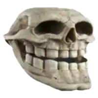 a skull with a smile on it 's face on a white background