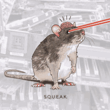 Brain Rat Squeak Rat Kingdom GIF - Brain Rat Squeak Rat Kingdom Rat GIFs