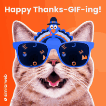 Similarweb Thanksgiving GIF - Similarweb Thanksgiving Turkey GIFs