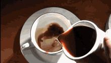 Coffee Pour GIF - Coffee Pour GIFs