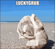 Luckygrub Glutencord GIF - Luckygrub Glutencord GIFs