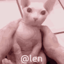 Len GIF - Len GIFs