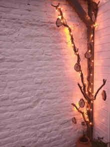 Houten Kerstboom Lichtjes Doen Branden GIF