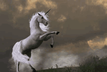 Unicorn GIF - Unicorn GIFs