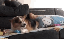 Puppy Dog GIF - Puppy Dog Lay Back GIFs