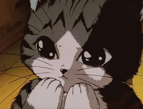 sad anime kitty