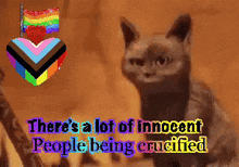 a cat with the words there 's a lot of innocent people being crucified above it