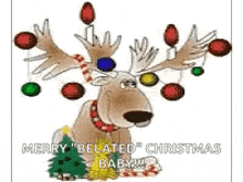 Merry Christmas Funny GIF - Merry Christmas Funny Lights GIFs