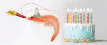 Birthday Shrimp GIF - Birthday Shrimp GIFs