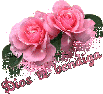 Rosas Sparkle Sticker - Rosas Sparkle Dios Te Bendigo Stickers