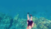 Swimming Lizzy Capri GIF - Swimming Lizzy Capri Bikini GIFs