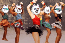 Samoyedcoin Solana GIF - Samoyedcoin Solana Dancing GIFs
