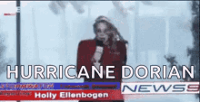 Hurricane Dorian Strong Wind GIF