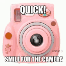 Giga Chad Camera GIF - Giga Chad Camera Pink GIFs