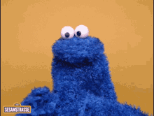 Cookie Monster Sesame Street GIF - Cookie Monster Sesame Street Grub GIFs