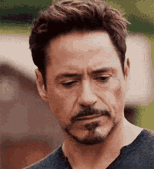 Age Of Ultron GIF - Age Of Ultron GIFs