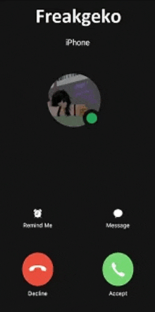 a screenshot of a phone call with the name freakgeko on it