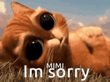 Sorry Im Sorry GIF - Sorry Im Sorry Im Really Sorry GIFs