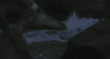 a dinosaur with a long neck is standing in the dark near some rocks
