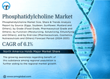 Phosphatidylcholine Market GIF - Phosphatidylcholine Market GIFs