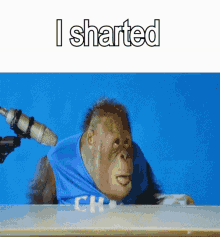 I Sharted Monkey GIF - I Sharted Monkey Monkey Falling Over GIFs