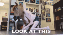 Look At This Horse GIF - Look At This Horse Mask GIFs