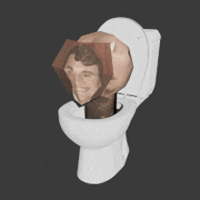 a 3d model of a toilet with two heads in it