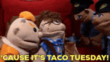 a group of stuffed animals with the words ' cause it 's taco tuesday ' in yellow letters