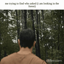 Me Looking For Who Asked I Am In The Forest GIF - Me Looking For Who Asked I Am In The Forest Me Looking For Who Asked I Am In The Forest GIFs