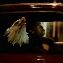 Peacemaker Eagly GIF - Peacemaker Eagly Eagle GIFs