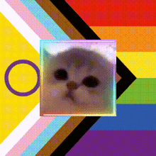 a rainbow flag with a square with a cat in it